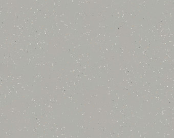 [1001111113_6] Surestep star - 176482 greige